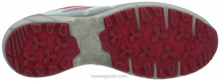 Hanwag カルパ チューブテック レディーGTX アスファルト/ダークガーネット 女性 TVD60125